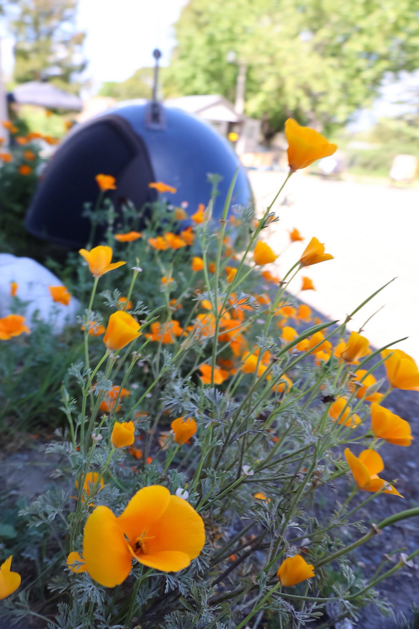 Rancho Obi-Wan 2026 Summer FUNdraiser